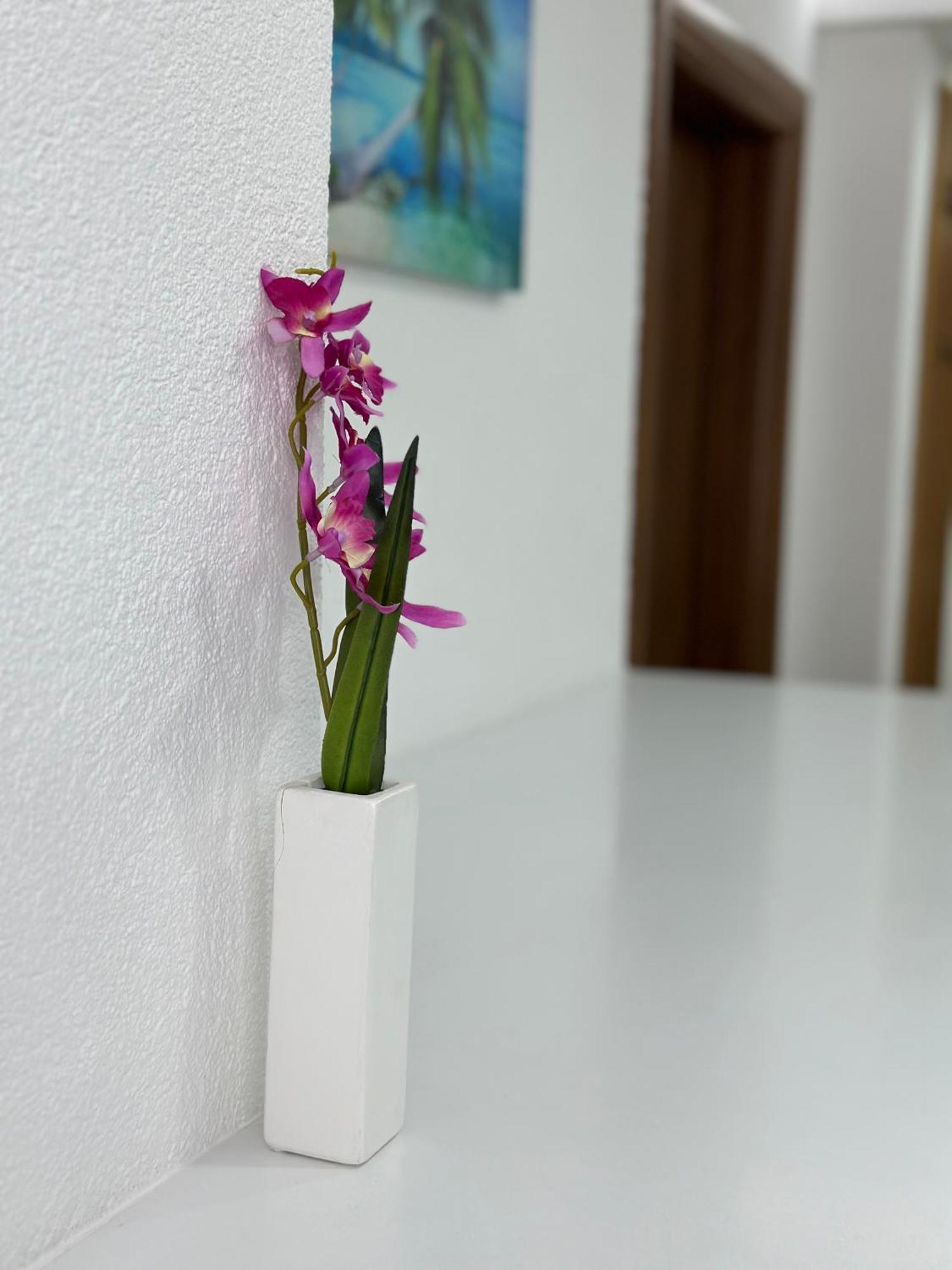 New Luxury Apartment In Sarajevo Center Kültér fotó